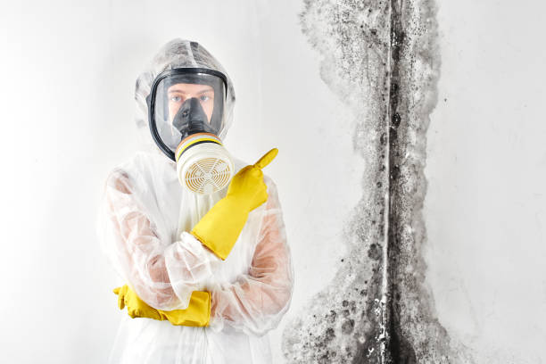 Mccrory, AR Mold Removal & Remediation Company