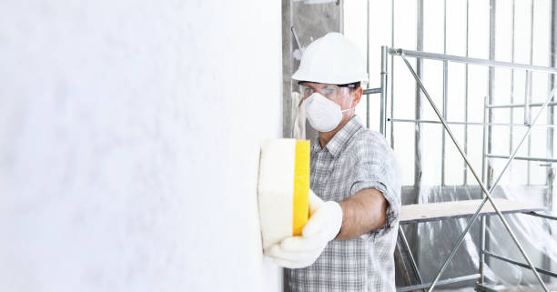 Best Mold Odor Removal Services  in Mccrory, AR