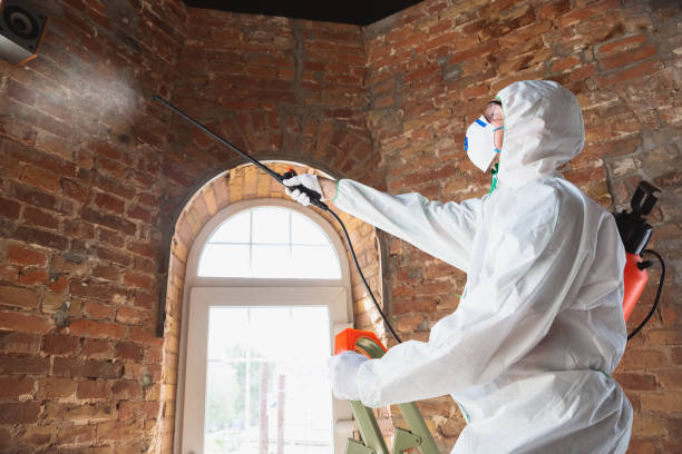 Mold Removal for HVAC Installations in Mccrory, AR